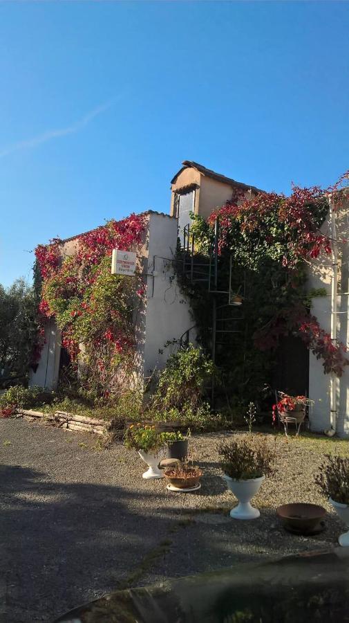 Bed and Breakfast La Casa Nel Bosco Tortorella Exteriér fotografie